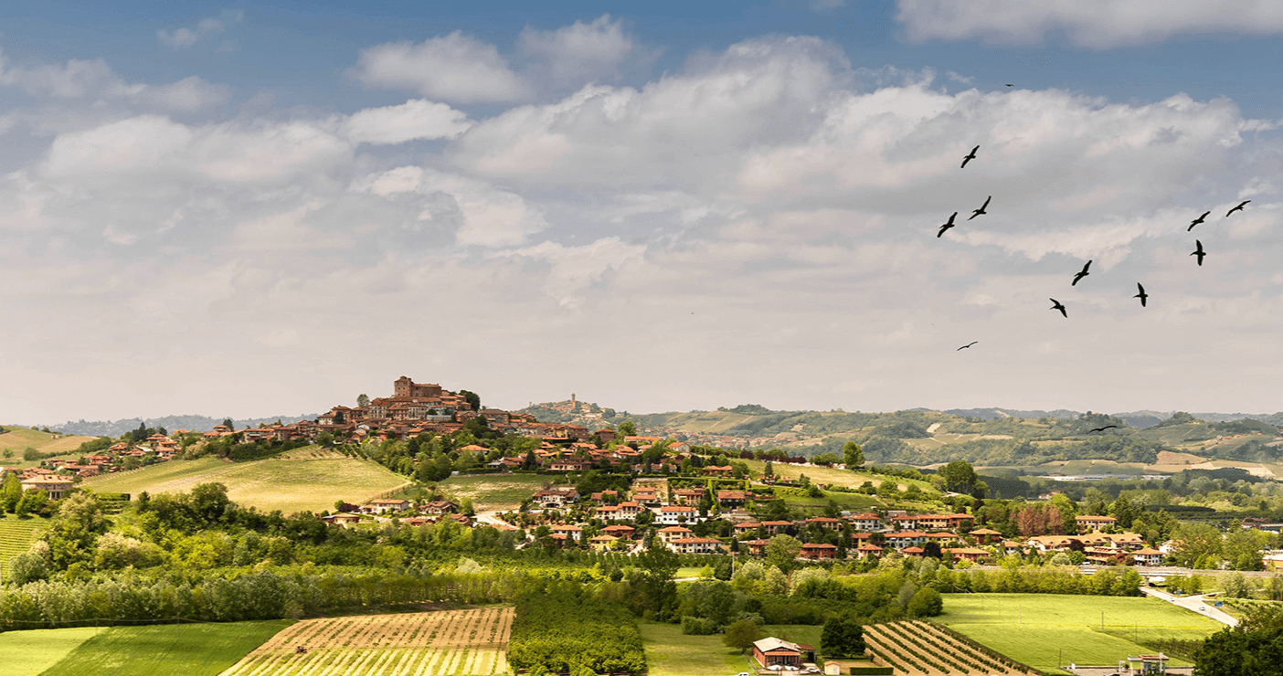 Wine tasting experience