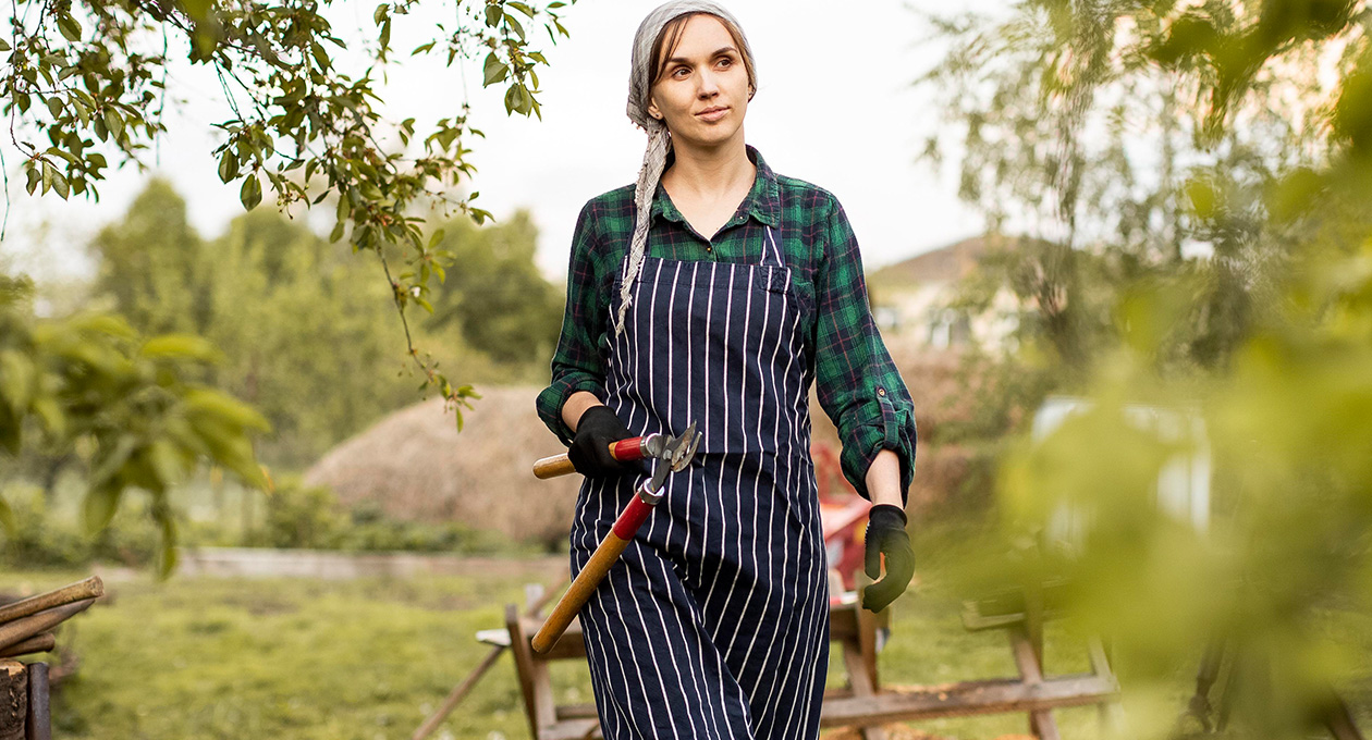Scenic view of a vineyard with a worker